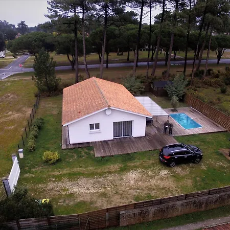 Villa Bee Free *